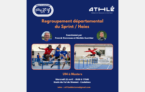 Stage comité : Sprint Haies